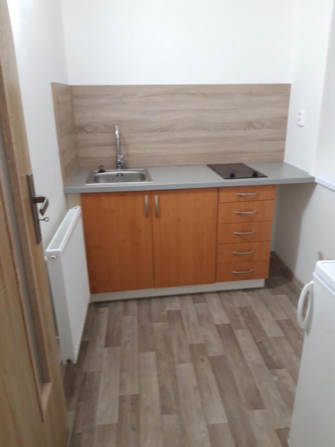 Apartman Plasy Zewnętrze zdjęcie